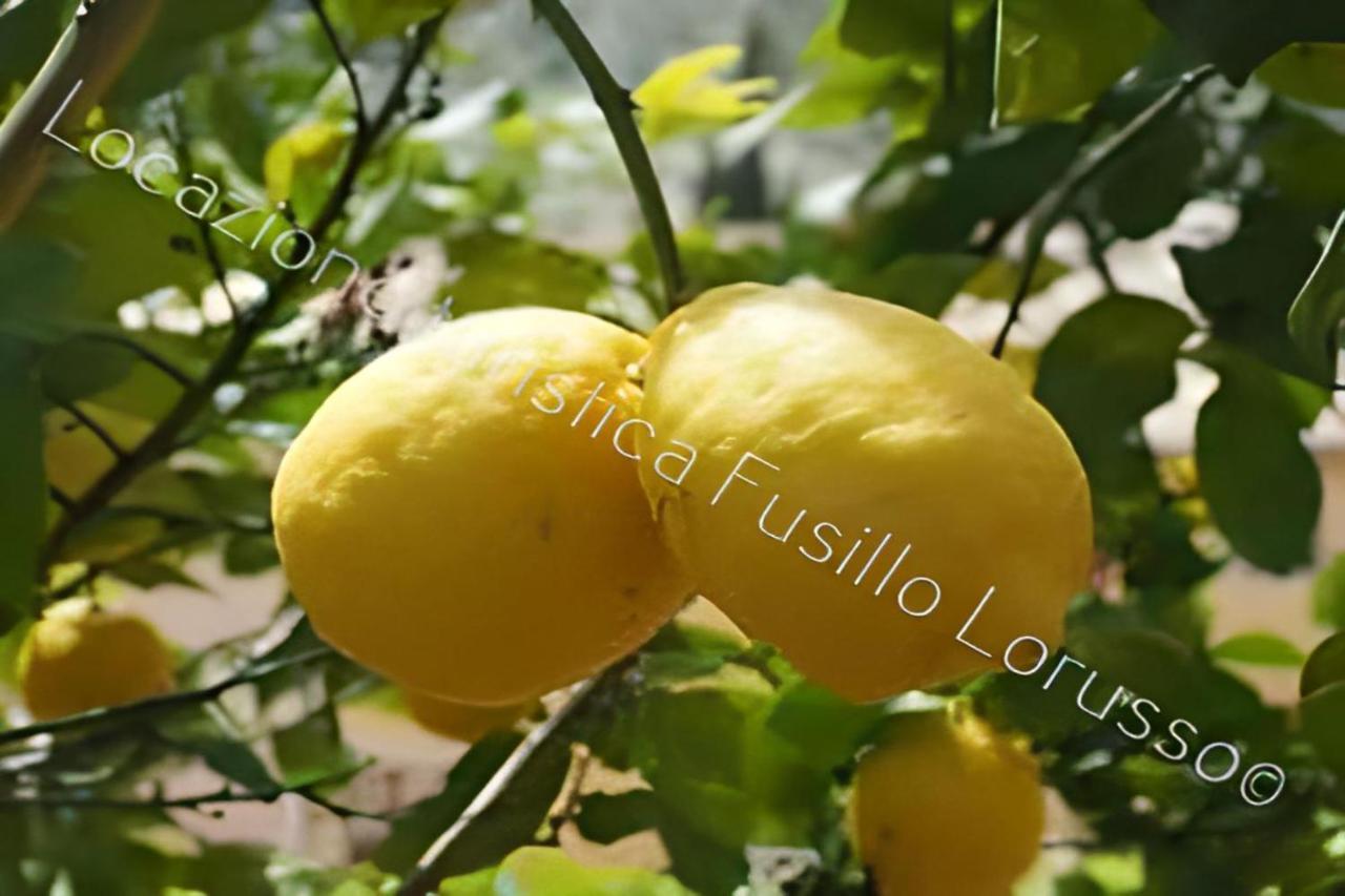 Апартаменты Locazione Turistica Fusillo Lorusso Con Parcheggio Privato In Loco Барлетта Экстерьер фото